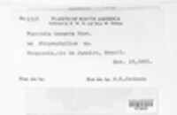 Image Associated With the Occurence